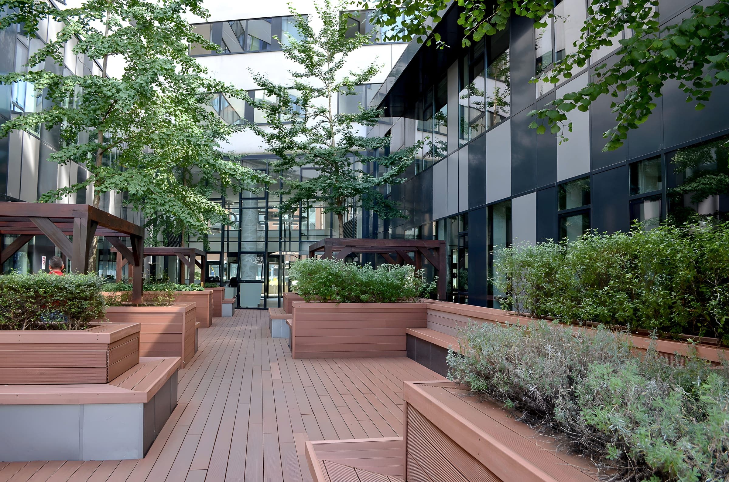 The courtyard garden with timber decks, pergolas and trees between the two wings