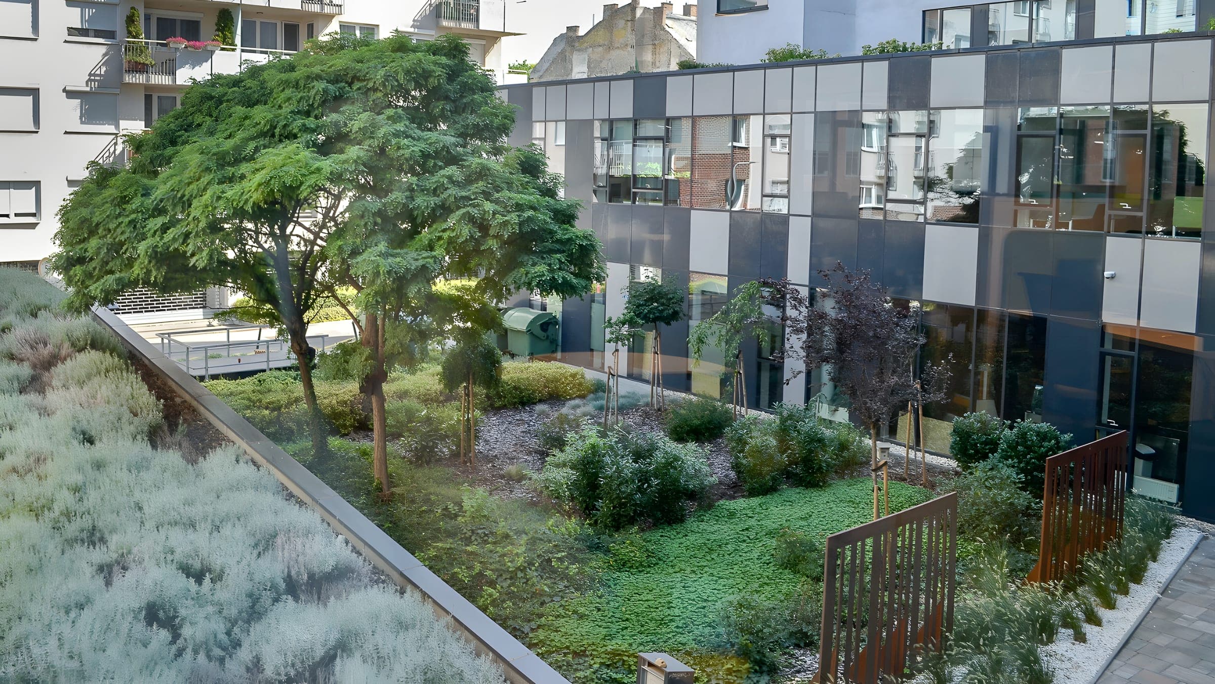 Green garden with lavender and trees beside the building